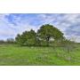 612acres Co Rd 247, Oplin TX 79510