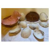 Burwood Dish &  Seashells