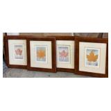 Framed Leaf Prints
