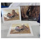 Waterfowl Prints