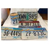 License Plate Birdhouse