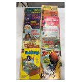 Vintage Disney Comic Books