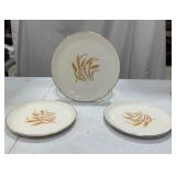 22 k Golden Wheat Plates