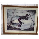 Canvasbacks Print