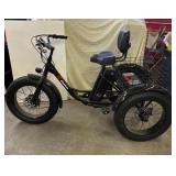 Geoman Fat-Tire Electric Tricycle