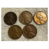 1946 Lincoln Wheat Pennies