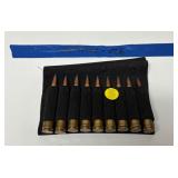 Rifle Cartridges in Ammo Pouch