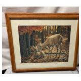 Framed Deer Artwork by C.S. Forest