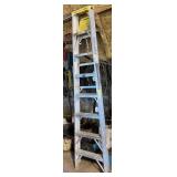 Werner Step Ladder