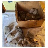 Rocks &ï¿½Fossils