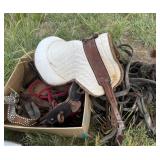 Horse Tack