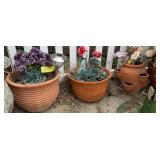Terracotta Planters