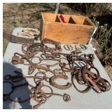 Equestrian Tack & Accessories