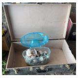 Vintage trunk & Seashells