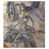 Leather Horse Harness & Collar