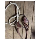 Leather and Metal Horse Hackamore