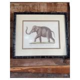 Framed Elephant Print,