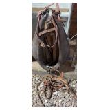 Horse Collar & Accessories