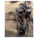 Horse Tack With Leather Bridle