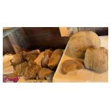 Fossils and Rocks