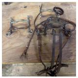 Horse Bit and Bridle Tack