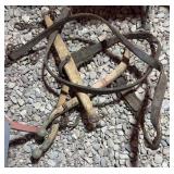 Horse Harness Hames