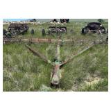 Dayton Farm Hay Rake with Electric Motor
