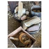 Decorative and Natural Rocks