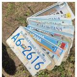 License Plates