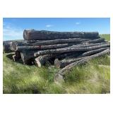 Raw Pine Logs