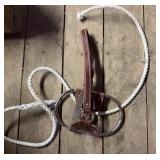 Leather Horse Hackamore
