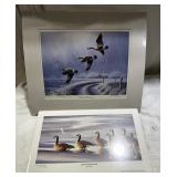 Ducks Unlimited Prints