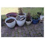 Lot of flower pots with flowers (cannot be