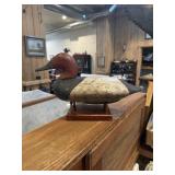 Drake canvasback decoy possibly Holly family