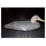 Chincoteague black duck decoy possibly by Doug