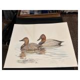 Jim Foote limited edition print of swimming