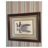 Framed print of swimming geese by Richard Sloan