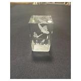 3D Laser etched glass paperweight with