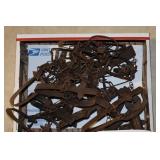 Flat lot - 15 animal traps Victor and others