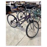 Giant Upland womens bicycle 14.5 (appears to have