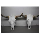 Two Cow Skulls