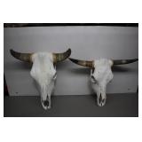 Two Cow Skulls