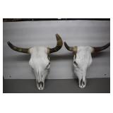Two Cow Skulls