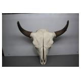 Buffalo Skull