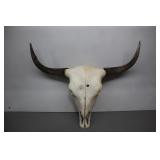 Yak Skull