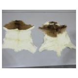 Two Goat Hides, Extra Small