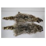Raccoon Pelts