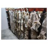 Example of the Many Pelts