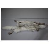 Fox Pelt