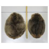 Two Beaver Pelts
